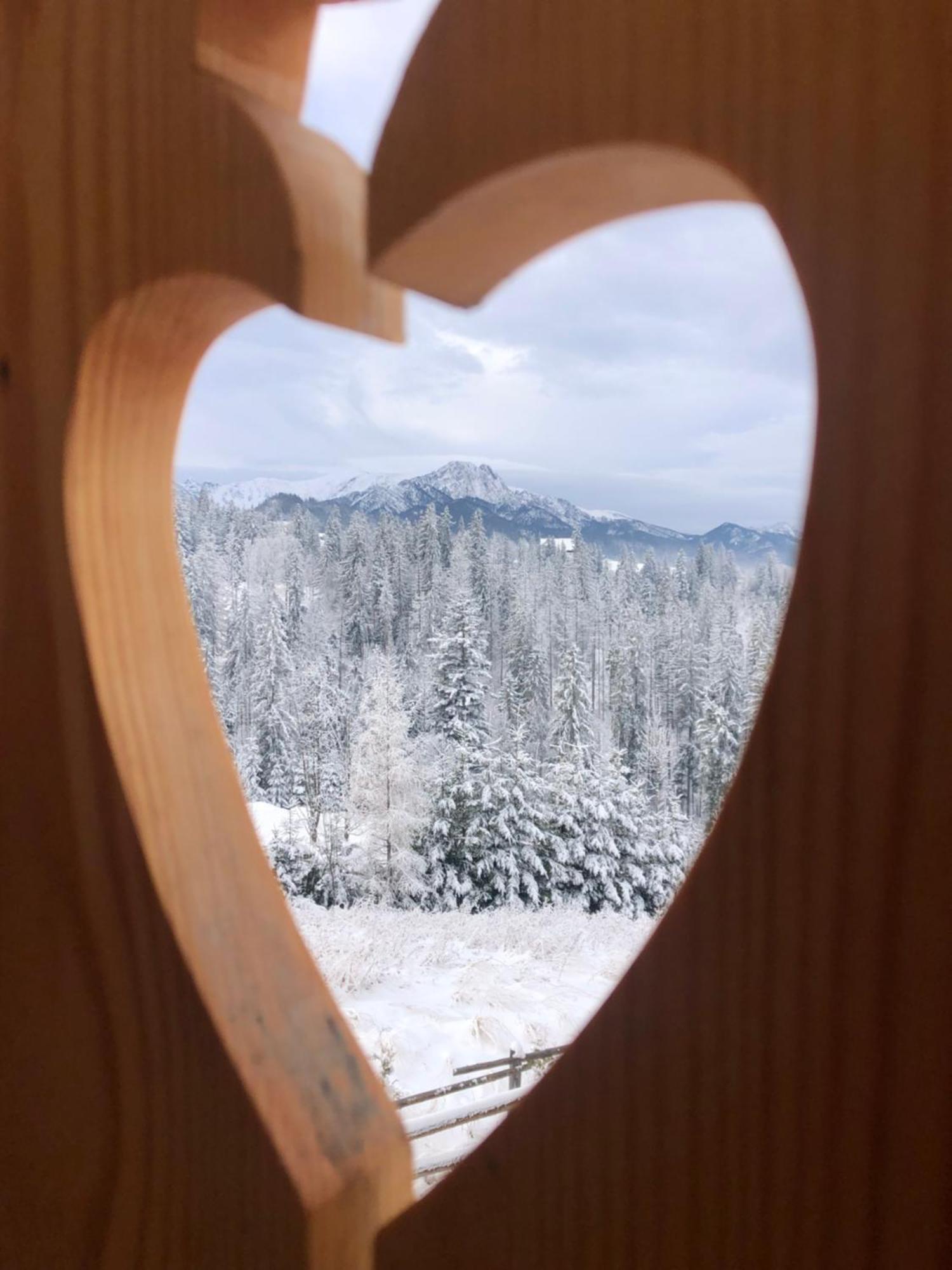 Tatrzanska Polana - Tatra Mountain View, Free Parking & Wifi ザコパネ エクステリア 写真